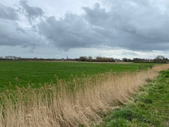 WhatsApp Image 2026-03-13 at 17.25.45 (1).jpeg